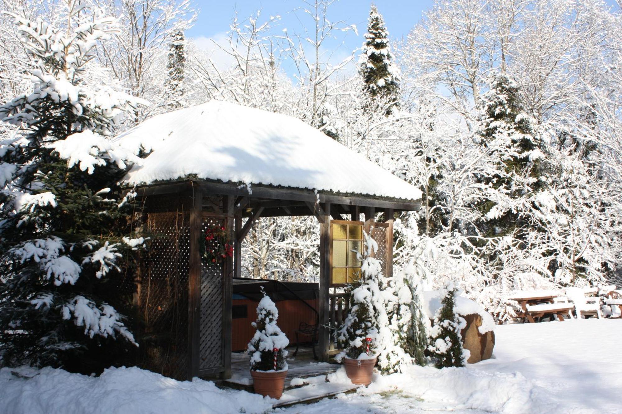 Chalets Et Studios Le Vent Du Nord Lac-Superieur Zewnętrze zdjęcie